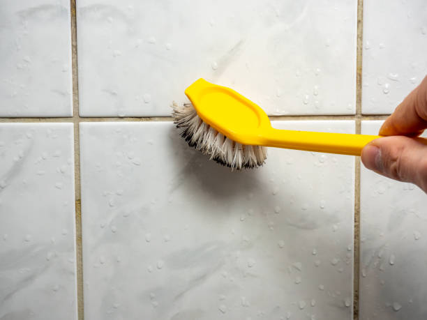 Best Mold Remediation for Specific Building Types in Ironton, OH