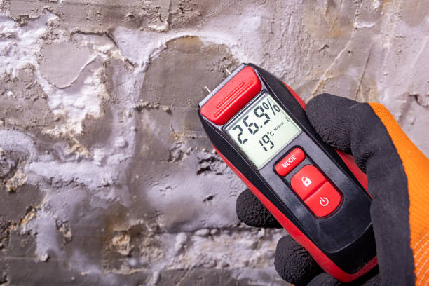 Best Crawl Space Mold Remediation in Ironton, OH