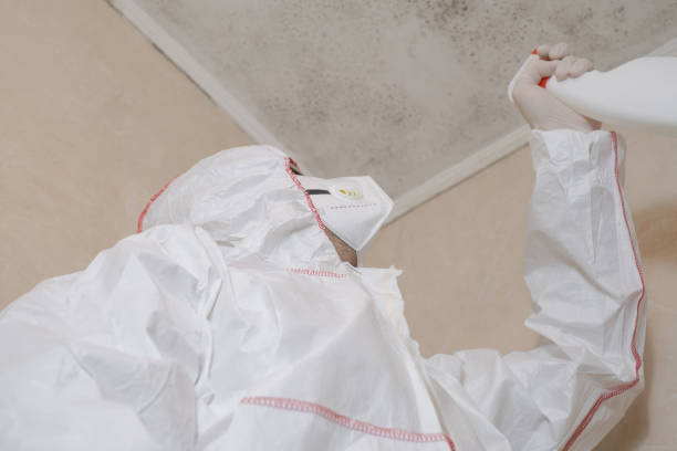 Best Health and Safety Mold Remediation in Ironton, OH